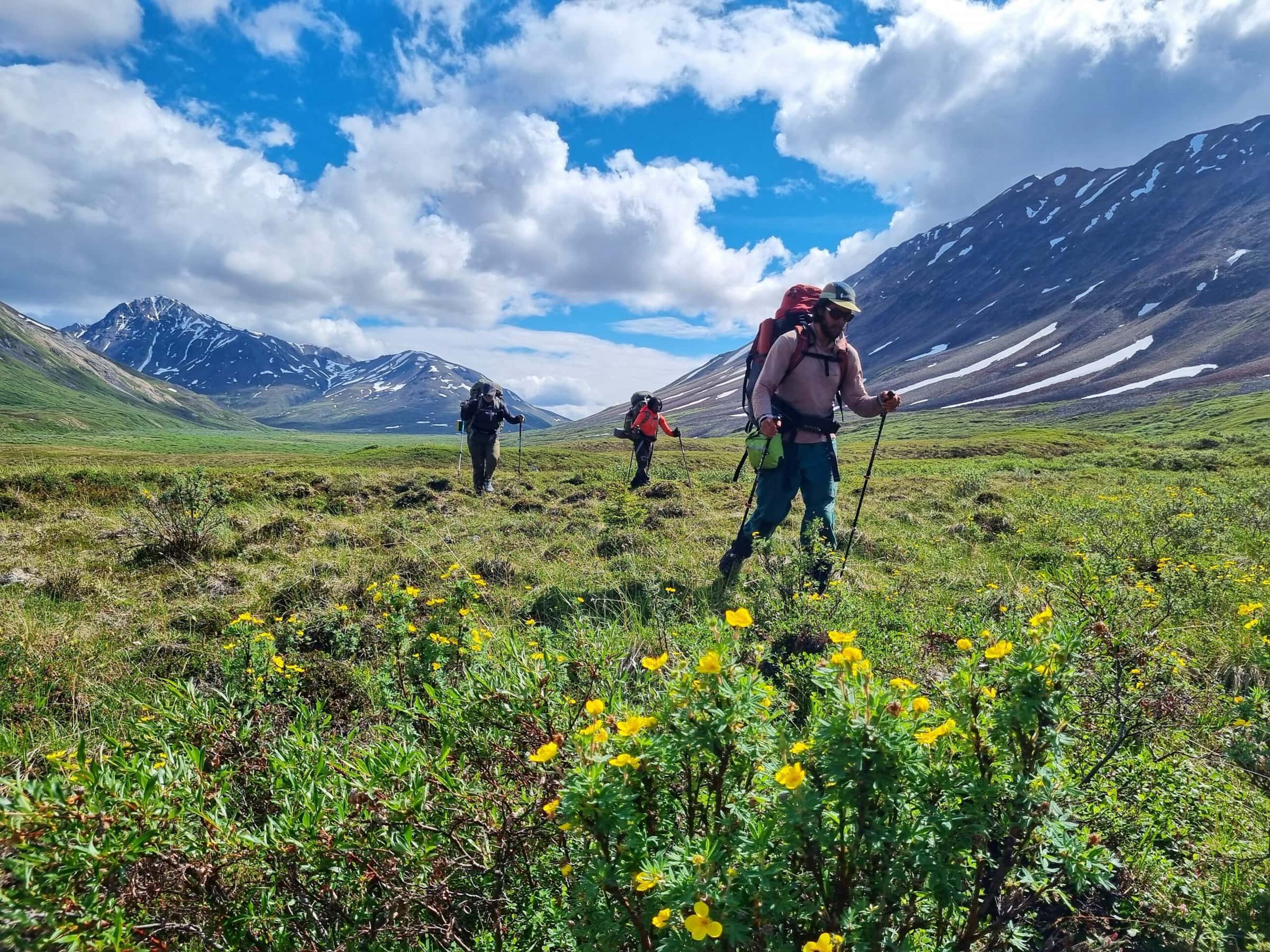 Three people hiking outdoors